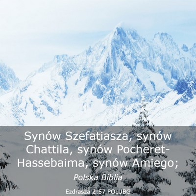 Picture 03 - Ezdrasza 2:57 POLUBG - Synów Szefatiasza, synów Chattila, synów - Bible Verse Picture