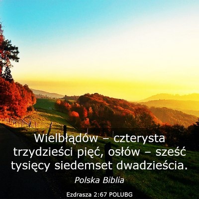 Picture 03 - Ezdrasza 2:67 POLUBG - Wielbłądów – czterysta trzydzieści pięć, - Bible Verse Picture