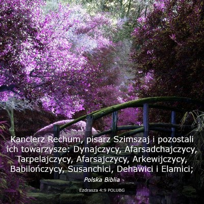 Picture 03 - Ezdrasza 4:9 POLUBG - Kanclerz Rechum, pisarz Szimszaj i pozostali ich - Bible Verse Picture