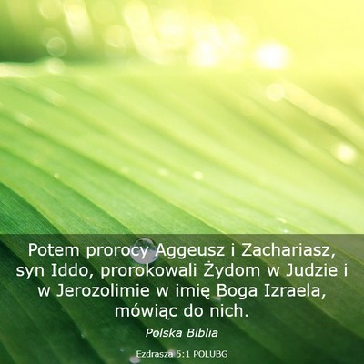 Picture 03 - Ezdrasza 5:1 POLUBG - Potem prorocy Aggeusz i Zachariasz, syn Iddo, - Bible Verse Picture