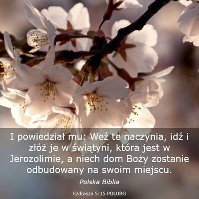 Picture 03 - Ezdrasza 5:15 POLUBG - I powiedział mu: Weź te naczynia, idź i - Bible Verse Picture
