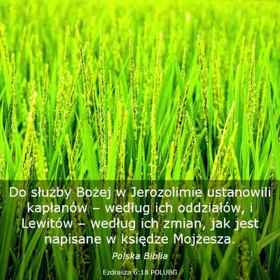 Picture 03 - Ezdrasza 6:18 POLUBG - Do służby Bożej w Jerozolimie ustanowili - Bible Verse Picture