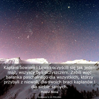 Picture 03 - Ezdrasza 6:20 POLUBG - Kapłani bowiem i Lewici oczyścili się jak - Bible Verse Picture