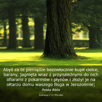 Picture 03 - Ezdrasza 7:17 POLUBG - Abyś za te pieniądze bezzwłocznie kupił - Bible Verse Picture