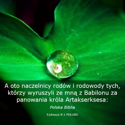 Picture 03 - Ezdrasza 8:1 POLUBG - A oto naczelnicy rodów i rodowody tych, którzy - Bible Verse Picture