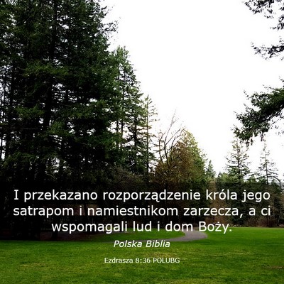 Picture 03 - Ezdrasza 8:36 POLUBG - I przekazano rozporządzenie króla jego satrapom - Bible Verse Picture