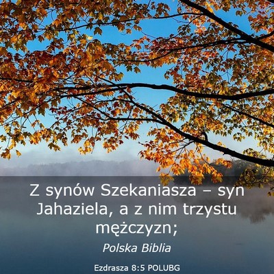 Picture 03 - Ezdrasza 8:5 POLUBG - Z synów Szekaniasza – syn Jahaziela, a z nim - Bible Verse Picture