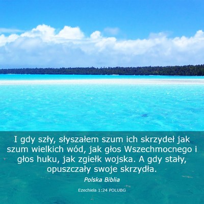 Picture 03 - Ezechiela 1:24 POLUBG - I gdy szły, słyszałem szum ich skrzydeł jak - Bible Verse Picture