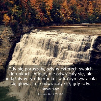 Picture 03 - Ezechiela 10:11 POLUBG - Gdy się poruszały, szły w czterech swoich - Bible Verse Picture