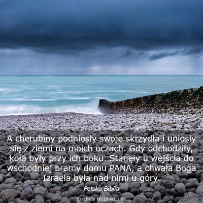 Picture 03 - Ezechiela 10:19 POLUBG - A cherubiny podniosły swoje skrzydła i uniosły - Bible Verse Picture