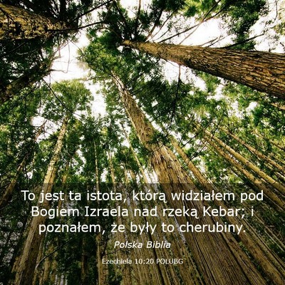 Picture 03 - Ezechiela 10:20 POLUBG - To jest ta istota, którą widziałem pod Bogiem - Bible Verse Picture
