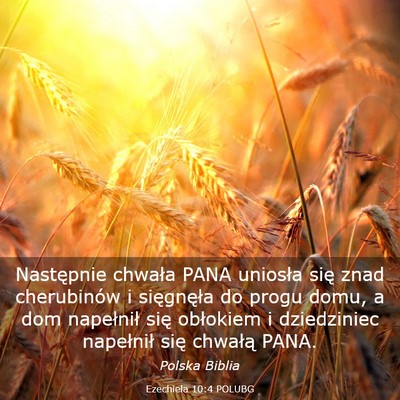 Picture 03 - Ezechiela 10:4 POLUBG - Następnie chwała PANA uniosła się znad - Bible Verse Picture