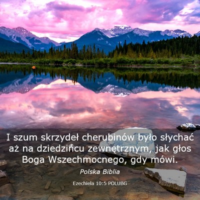 Picture 03 - Ezechiela 10:5 POLUBG - I szum skrzydeł cherubinów było słychać aż - Bible Verse Picture
