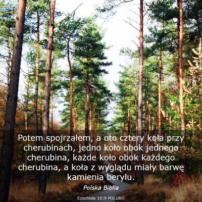 Picture 03 - Ezechiela 10:9 POLUBG - Potem spojrzałem, a oto cztery koła przy - Bible Verse Picture