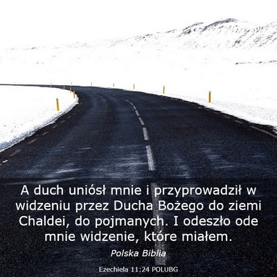 Picture 03 - Ezechiela 11:24 POLUBG - A duch uniósł mnie i przyprowadził w widzeniu - Bible Verse Picture