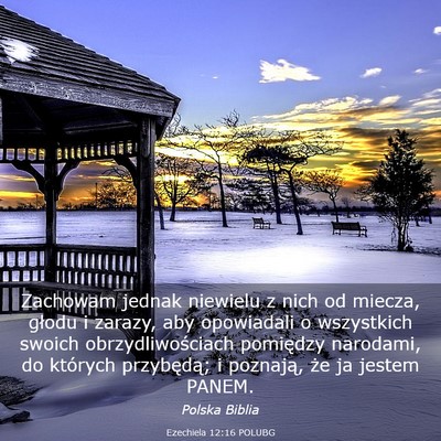 Picture 03 - Ezechiela 12:16 POLUBG - Zachowam jednak niewielu z nich od miecza, głodu - Bible Verse Picture