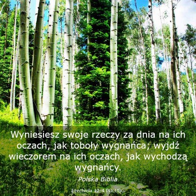 Picture 03 - Ezechiela 12:4 POLUBG - Wyniesiesz swoje rzeczy za dnia na ich oczach, - Bible Verse Picture