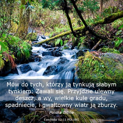 Picture 03 - Ezechiela 13:11 POLUBG - Mów do tych, którzy ją tynkują słabym - Bible Verse Picture