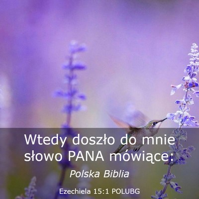 Picture 03 - Ezechiela 15:1 POLUBG - Wtedy doszło do mnie słowo PANA - Bible Verse Picture