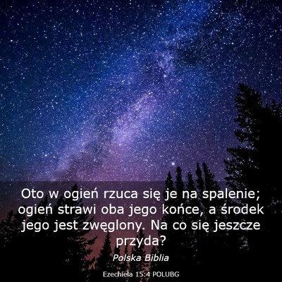 Picture 03 - Ezechiela 15:4 POLUBG - Oto w ogień rzuca się je na spalenie; ogień - Bible Verse Picture
