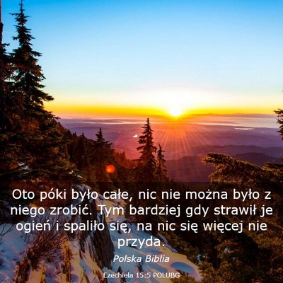 Picture 03 - Ezechiela 15:5 POLUBG - Oto póki było całe, nic nie można było z - Bible Verse Picture