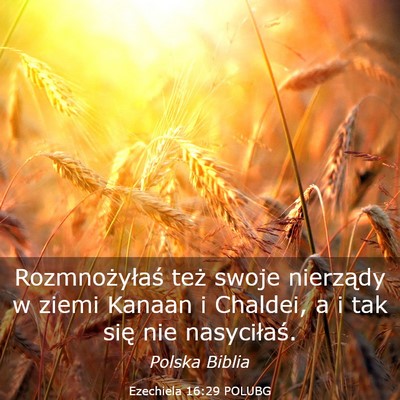 Picture 03 - Ezechiela 16:29 POLUBG - Rozmnożyłaś też swoje nierządy w ziemi - Bible Verse Picture