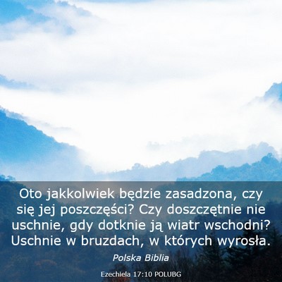Picture 03 - Ezechiela 17:10 POLUBG - Oto jakkolwiek będzie zasadzona, czy się jej - Bible Verse Picture