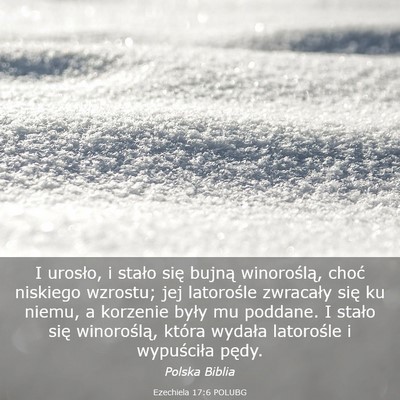 Picture 03 - Ezechiela 17:6 POLUBG - I urosło, i stało się bujną winoroślą, - Bible Verse Picture