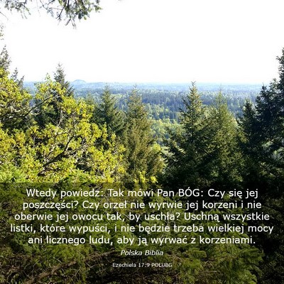 Picture 03 - Ezechiela 17:9 POLUBG - Wtedy powiedz: Tak mówi Pan BÓG: Czy się jej - Bible Verse Picture