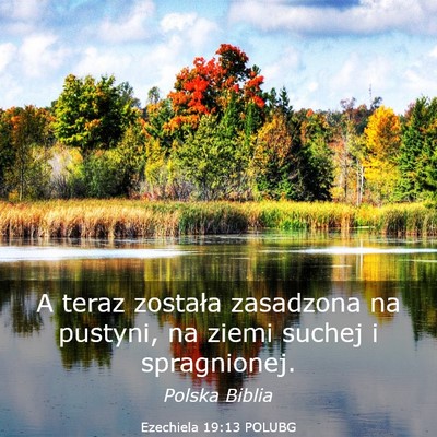 Picture 03 - Ezechiela 19:13 POLUBG - A teraz została zasadzona na pustyni, na ziemi - Bible Verse Picture