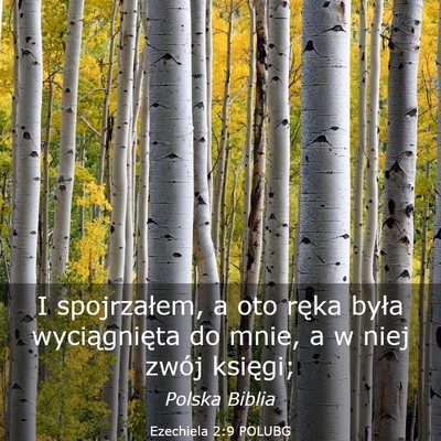 Picture 03 - Ezechiela 2:9 POLUBG - I spojrzałem, a oto ręka była wyciągnięta do - Bible Verse Picture