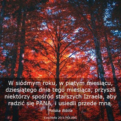 Picture 03 - Ezechiela 20:1 POLUBG - W siódmym roku, w piątym miesiącu, - Bible Verse Picture