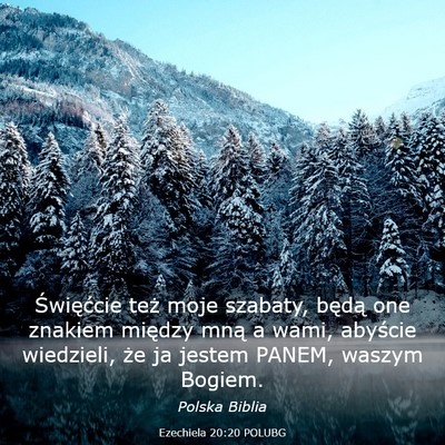 Picture 03 - Ezechiela 20:20 POLUBG - Święćcie też moje szabaty, będą one znakiem - Bible Verse Picture