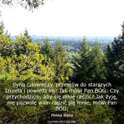Picture 03 - Ezechiela 20:3 POLUBG - Synu człowieczy, przemów do starszych Izraela i - Bible Verse Picture