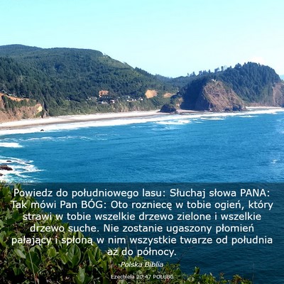 Picture 03 - Ezechiela 20:47 POLUBG - Powiedz do południowego lasu: Słuchaj słowa - Bible Verse Picture