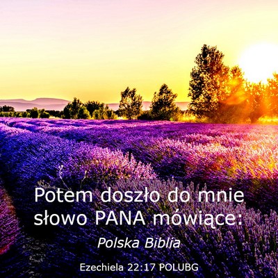Picture 03 - Ezechiela 22:17 POLUBG - Potem doszło do mnie słowo PANA - Bible Verse Picture