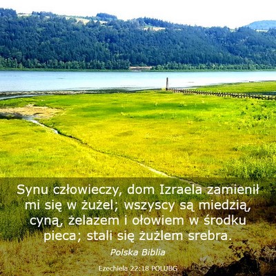 Picture 03 - Ezechiela 22:18 POLUBG - Synu człowieczy, dom Izraela zamienił mi się w - Bible Verse Picture