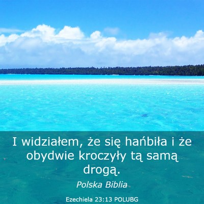 Picture 03 - Ezechiela 23:13 POLUBG - I widziałem, że się hańbiła i że obydwie - Bible Verse Picture