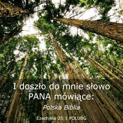 Picture 03 - Ezechiela 25:1 POLUBG - I doszło do mnie słowo PANA - Bible Verse Picture