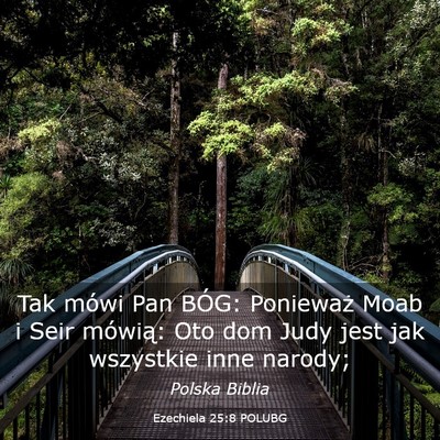 Picture 03 - Ezechiela 25:8 POLUBG - Tak mówi Pan BÓG: Ponieważ Moab i Seir - Bible Verse Picture