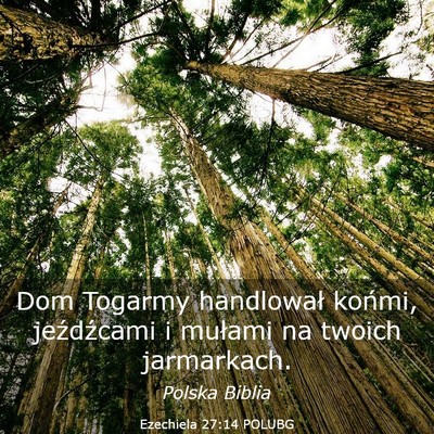 Picture 03 - Ezechiela 27:14 POLUBG - Dom Togarmy handlował końmi, jeźdźcami i - Bible Verse Picture