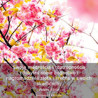 Picture 03 - Ezechiela 28:4 POLUBG - Swoją mądrością i roztropnością zdobyłeś - Bible Verse Picture