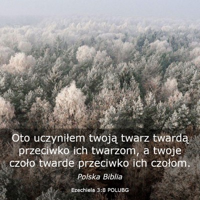 Picture 03 - Ezechiela 3:8 POLUBG - Oto uczyniłem twoją twarz twardą przeciwko ich - Bible Verse Picture