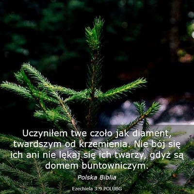 Picture 03 - Ezechiela 3:9 POLUBG - Uczyniłem twe czoło jak diament, twardszym od - Bible Verse Picture