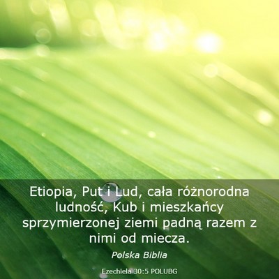 Picture 03 - Ezechiela 30:5 POLUBG - Etiopia, Put i Lud, cała różnorodna ludność, - Bible Verse Picture