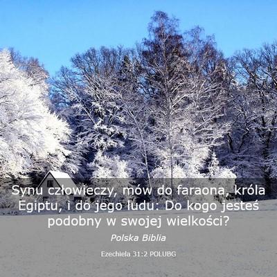 Picture 03 - Ezechiela 31:2 POLUBG - Synu człowieczy, mów do faraona, króla Egiptu, - Bible Verse Picture