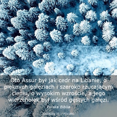 Picture 03 - Ezechiela 31:3 POLUBG - Oto Assur był jak cedr na Libanie, o pięknych - Bible Verse Picture