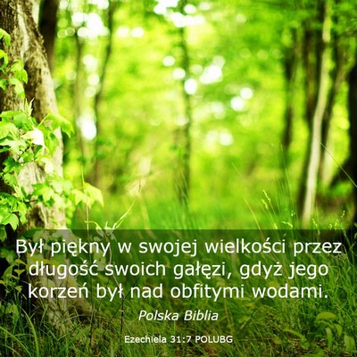 Picture 03 - Ezechiela 31:7 POLUBG - Był piękny w swojej wielkości przez długość - Bible Verse Picture