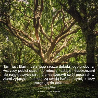 Picture 03 - Ezechiela 32:24 POLUBG - Tam jest Elam i cała jego rzesza dokoła jego - Bible Verse Picture