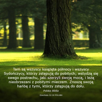 Picture 03 - Ezechiela 32:30 POLUBG - Tam są wszyscy książęta północy i wszyscy - Bible Verse Picture